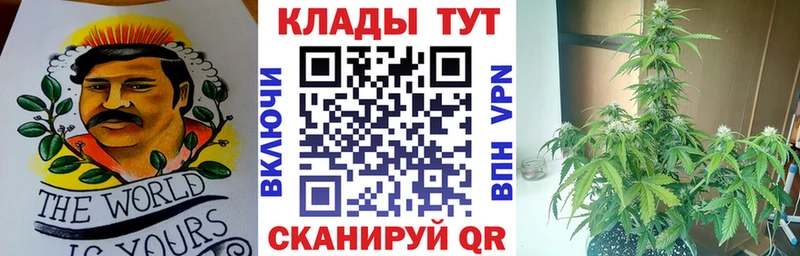Купить наркотики цена Макаров APVP Гашиш Марихуана