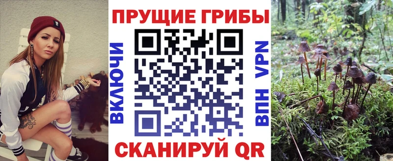 наркотики  Макаров  Галлюциногенные грибы ЛСД 